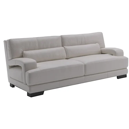 Contemporary Leather Sofa